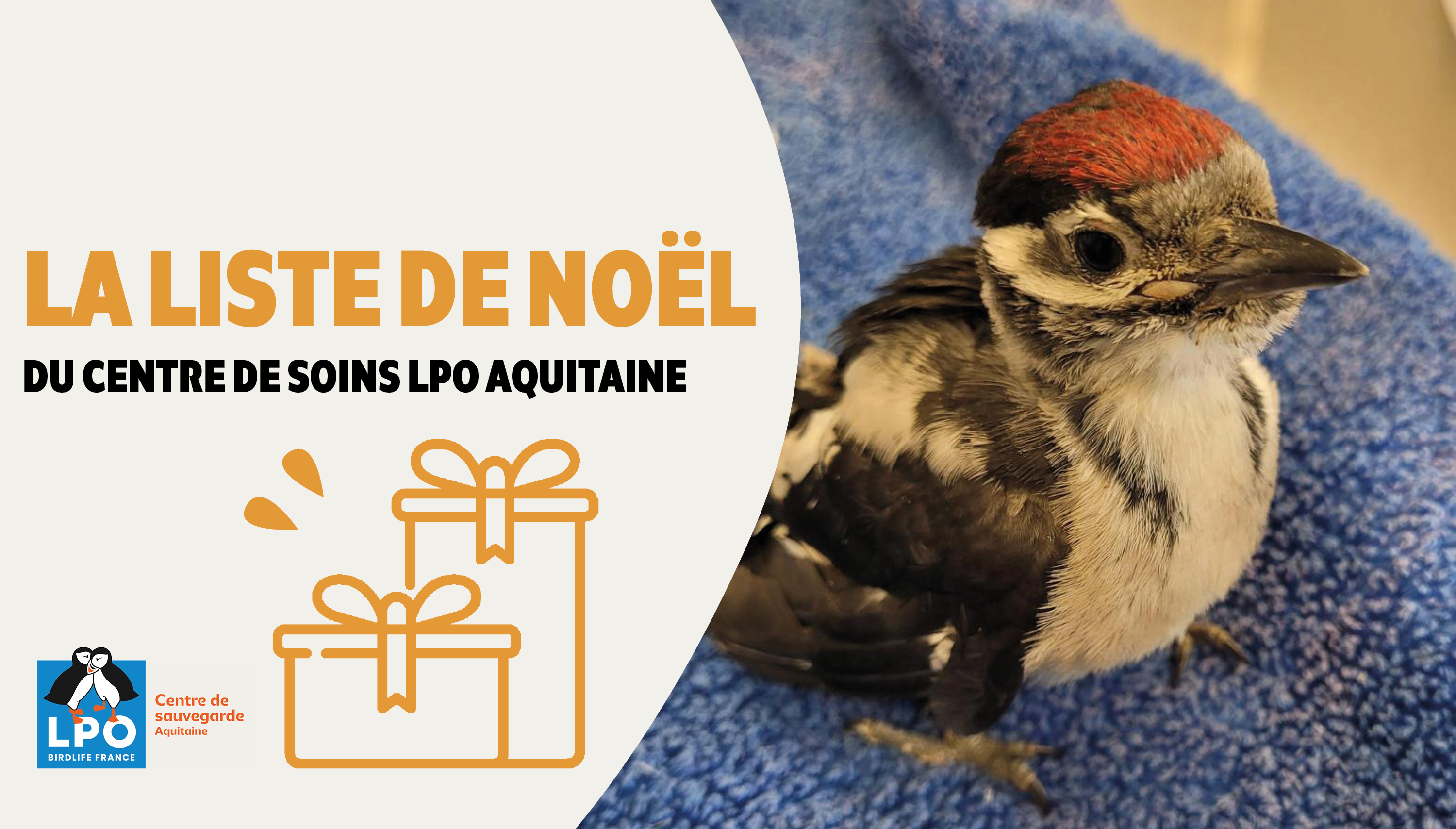 Découvrez la liste de Noël du Centre de soins !
